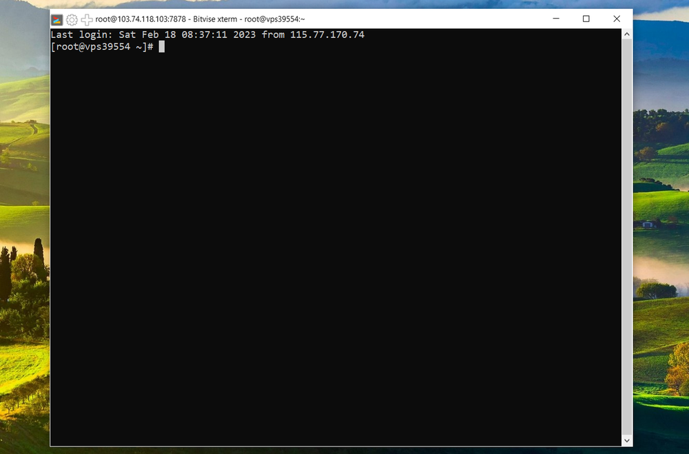 Terminal window