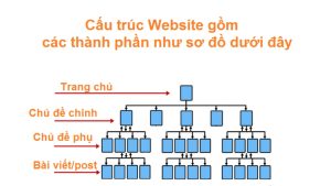 cau-truc-website.jpg
